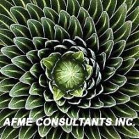 AFME–Clt-Inc AFME